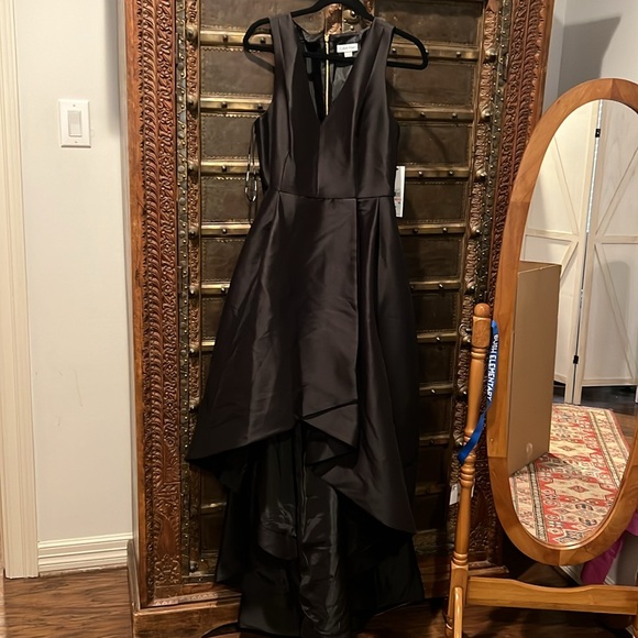 Calvin Klein Hi-lo gown nwt - Picture 2 of 5